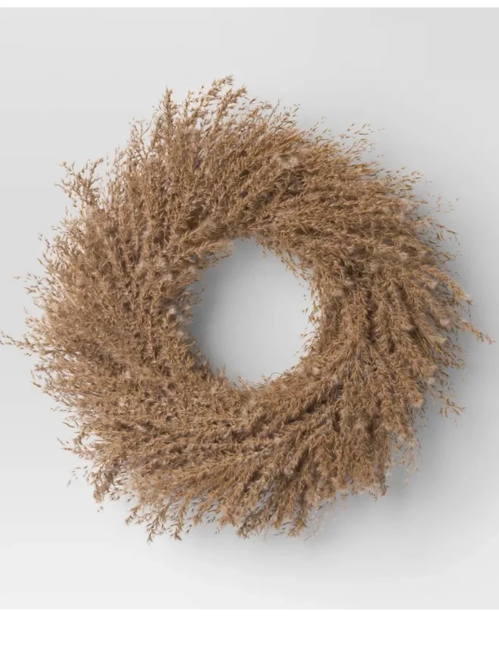 NWT Threshold Preserved Pompas Grass Wreath